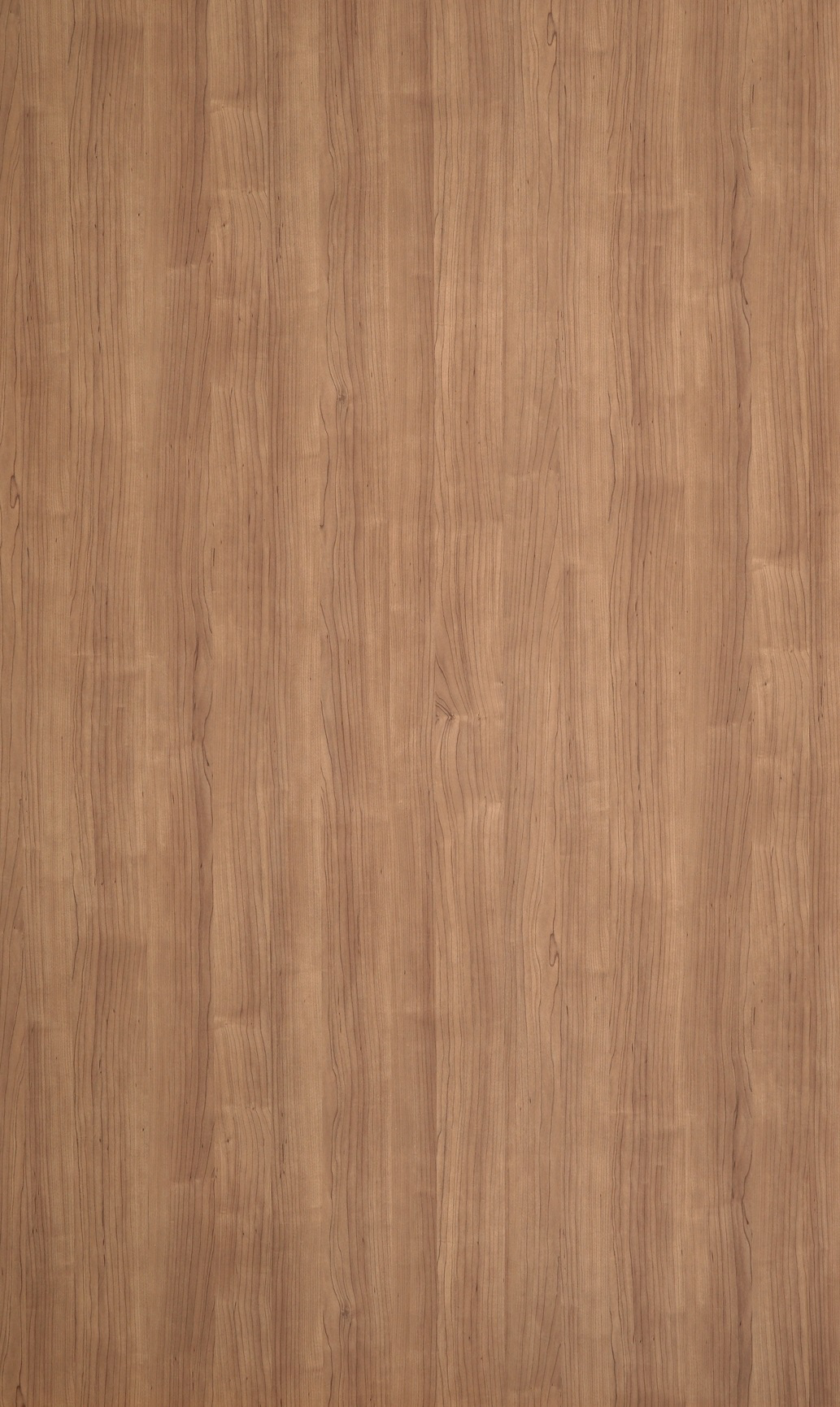 LiveLife | Spice Maple